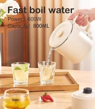 Electric Kettle